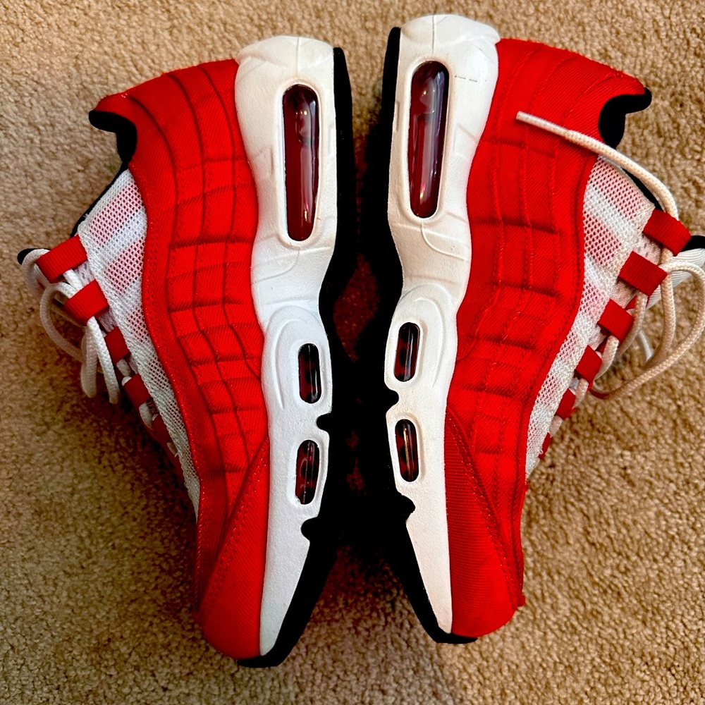 Nike Air Max 95. The original style.